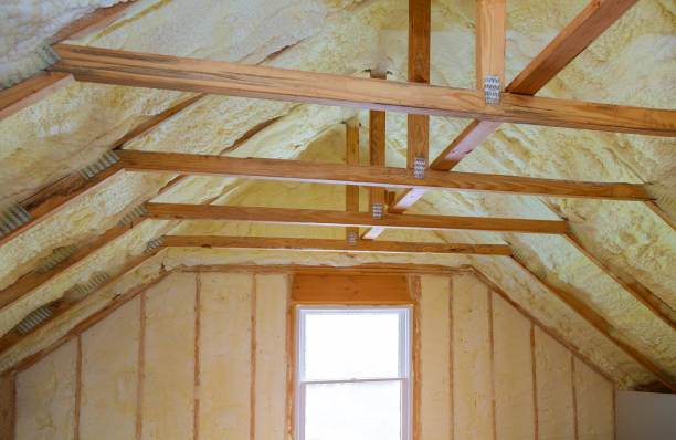 Best Insulation Inspection Services  in , NM