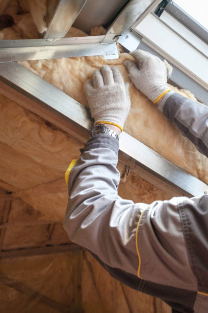 Best Residential Insulation Services  in , NM