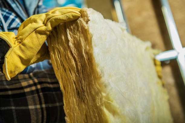 Best Attic Insulation Installation  in , NM