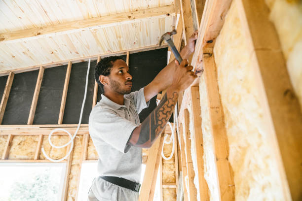 Best Insulation Removal  in , NM